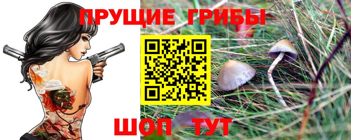Псилоцибиновые грибы MAGIC MUSHROOMS Коломна