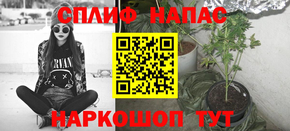 Марихуана конопля  Бошки Шишки Amnesia  Каннабис Bruce Banner  Коломна  Вход с VPN 